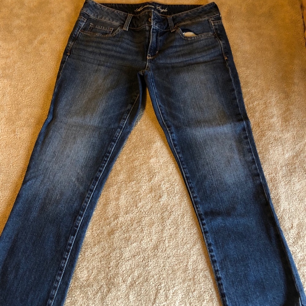 American Eagle artist crop size 8
